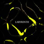 Artwork for "Labyrinth"