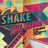 Portada para "Shake the Room"