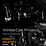 Artwork voor "Pitt on the Drums"