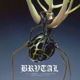 Artwork for "BRV007"