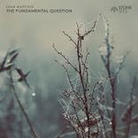 Artwork for "The Fundamental Question"