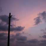 Artwork for "Below Sea Level"