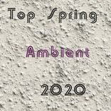 Artwork for "Top Spring Ambient 2020"
