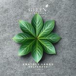 Artwork voor "Fluctuate"