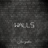 Artwork for "Walls"