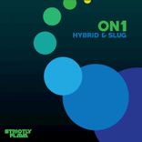 Portada para "Hybrid & Slug"