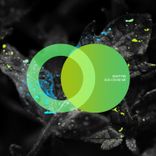 Artwork for "God Chose Me"