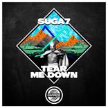 Artwork for "Tear Me Down"