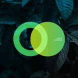 Artwork for "Antartide"