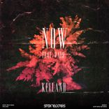 Artwork for "Now (Feat. Vaus)"