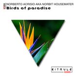 Artwork voor "Birds of Paradise"