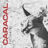 Artwork for "Caracal"