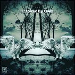 Inspired By Owls