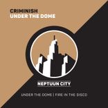 Artwork for "Under the Dome"