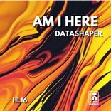 Artwork for "Am I Here"