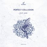 Artwork for "Perfect Collusion"