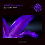 Artwork for "Letting Me Down"