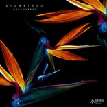 Artwork for "Stone Seed - Best of 2021"