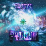 Artwork voor "Fylgja"