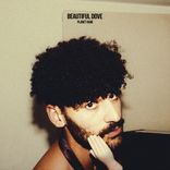 Artwork voor "Beautiful Dove"