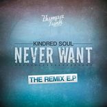 Artwork for "Never Want - Remixes"