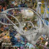 Artwork for "Natural Complexity"