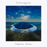 Artwork for "Shimmer"