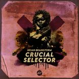 Artwork voor "Crucial Selector"