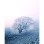 Artwork for "Empire"