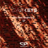 Portada para "The New Beginning"