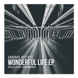 Artwork voor "Wonderful Life - EP"
