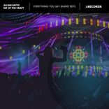 Artwork voor "Everything You Say"