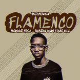 Artwork for "FLAMENCO"