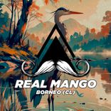 Artwork for "Real Mango"