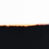 Portada para "Detox"