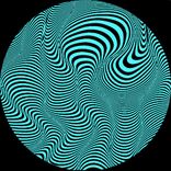 Portada para "The Cook"