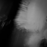 Artwork for "Collapsing Ecosystems & Other Fun"