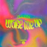 Artwork für "Wake Me Up"