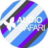 Artwork voor "Like the Sun"