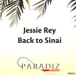 Artwork for "Back To Sinai"