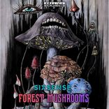 Artwork for "Forest Mushrooms"