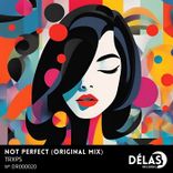 Artwork for "Not Perfect"