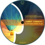 Artwork voor "A Dream Came True"