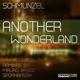 Artwork voor "Another Wonderland"