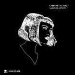 Artwork for "Cybernetics Vol.1"