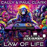 Portada para "Law of life"