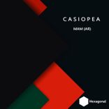 Artwork voor "Casiopea"