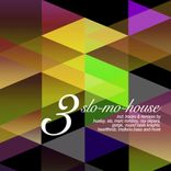 Artwork for "Slo-Mo-House, Vol. 3"