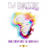 Artwork for "Nkonyane Kandaba"