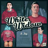 Artwork for "Dub Dimentia"